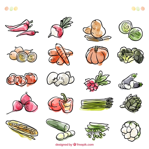 水彩绘蔬菜