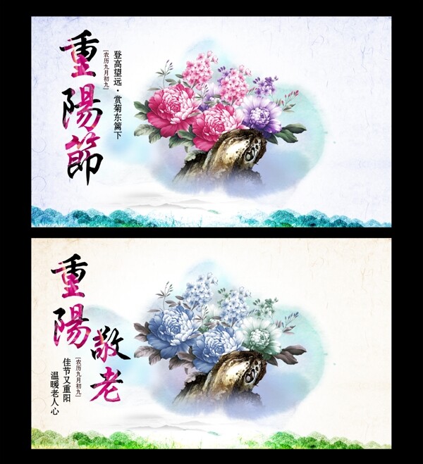 中国风漂亮菊花重阳节图片