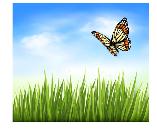 美丽的蝴蝶和绿草背景矢量03