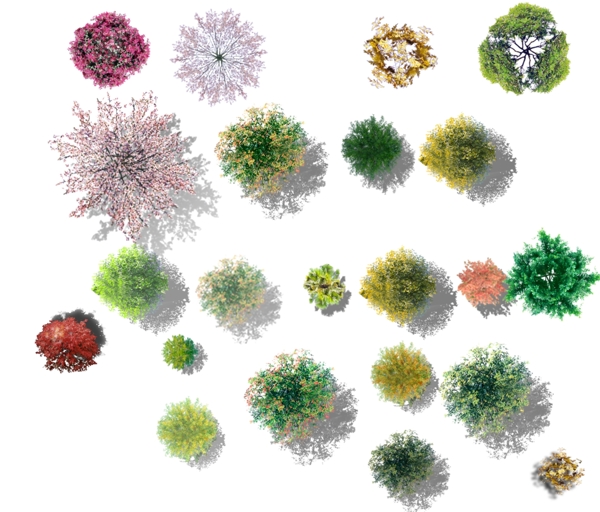 各种写实平面树