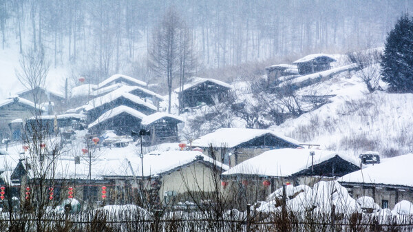 长白山木屋村