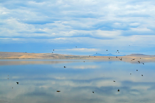 美国大盐湖图片