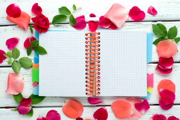 木板上的笔记本与花瓣