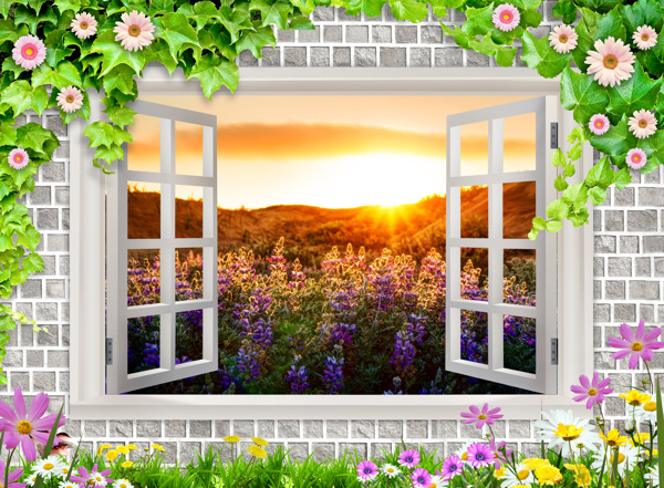 花卉窗户风景背景墙