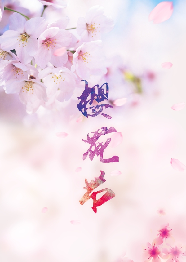 樱花节花粉色