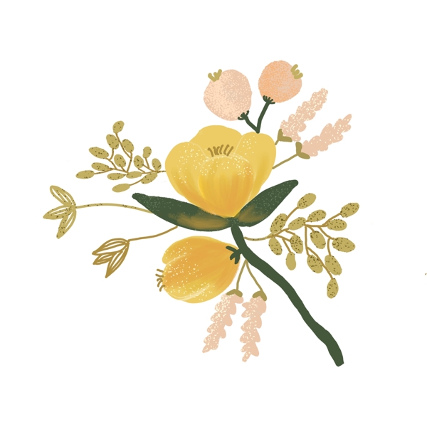 黄色花朵装饰插画