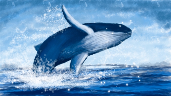 手绘跃出水面的鲸鱼