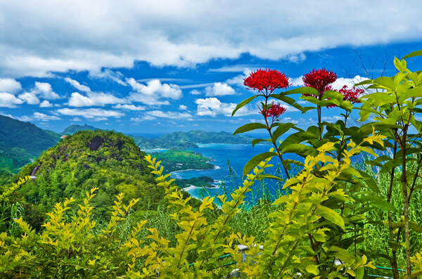 风景素材