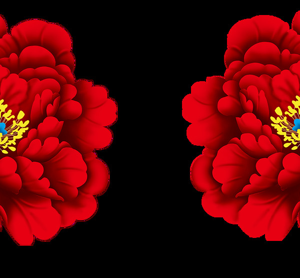红色牡丹花朵富贵