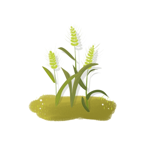 麦子麦穗绿色插画风植物元素