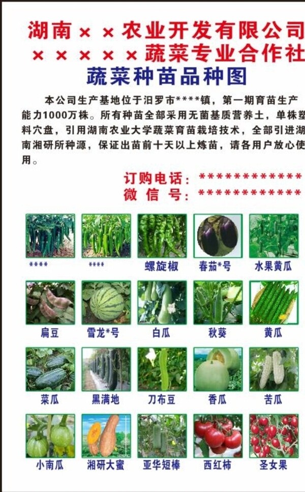蔬菜品种图