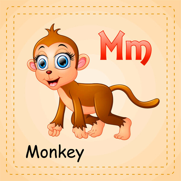小猴子英文单词图片