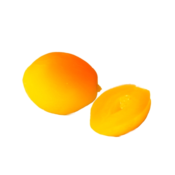 实物黄杏
