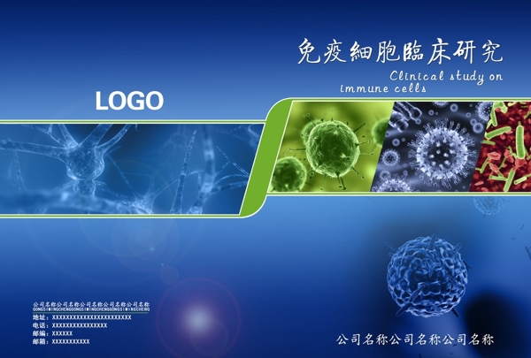 免疫细胞临床图片