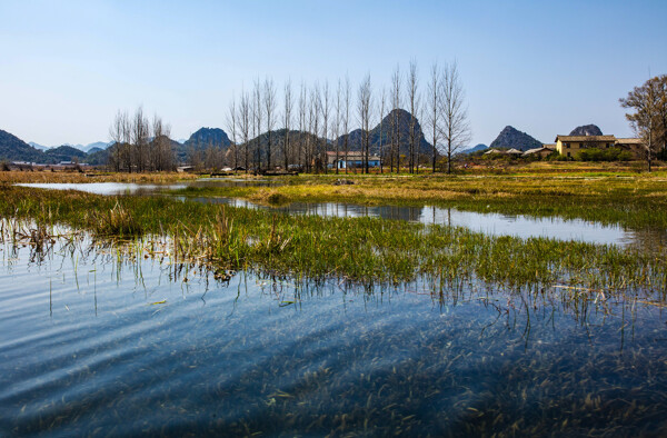 云南普者黑风景