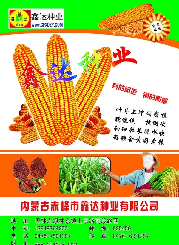 玉米宣传单图片
