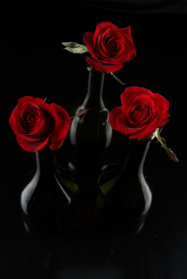 黑色玫瑰花瓶图片