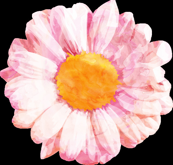斑驳粉色花卉卡通水彩透明素材