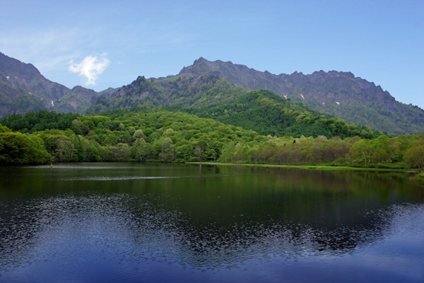 树植物水风景山