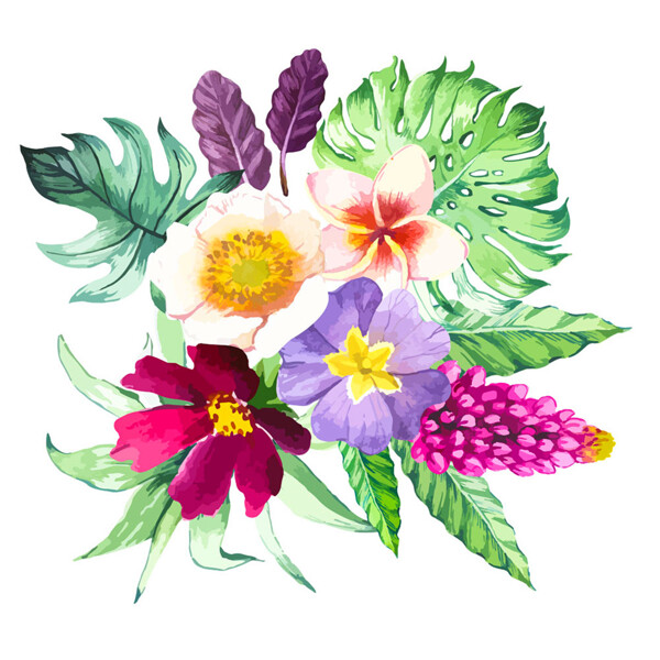 水彩热带植物花朵图案图片