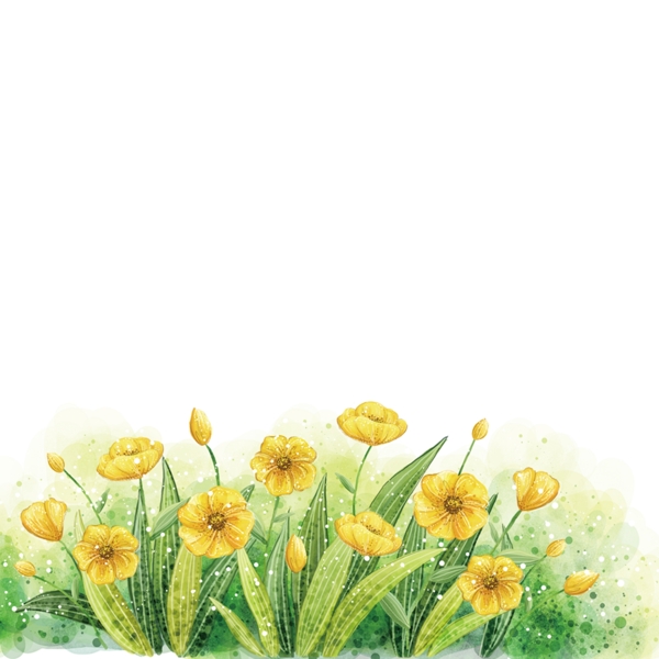 黄色小花朵