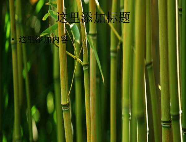 竹子素材图片高清PPT