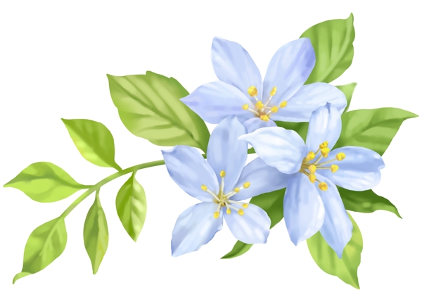 淡蓝小花朵36