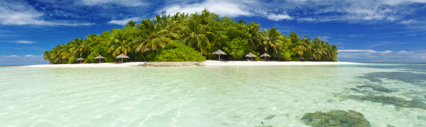 美丽椰树海岛风景