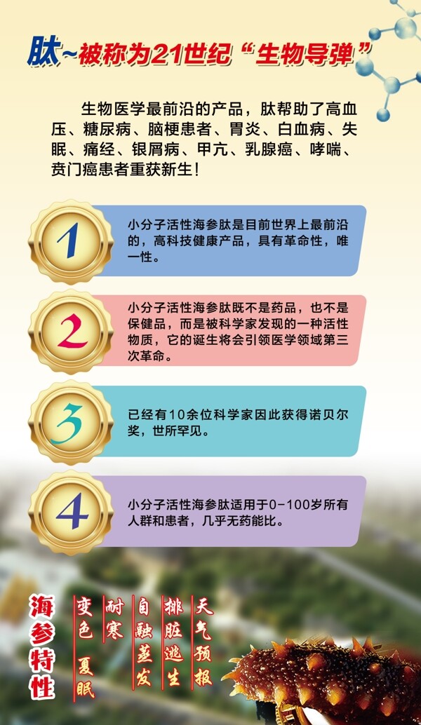 海参肽介绍