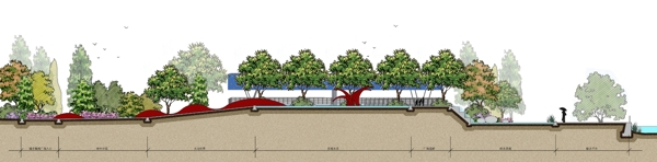 园林剖面效果图图片