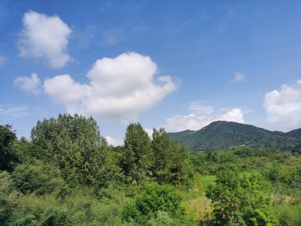 风景蓝天白云绿树图片