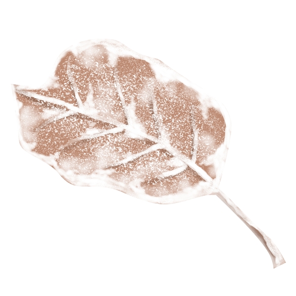 彩绘被雪覆盖的一片叶子设计可商用元素