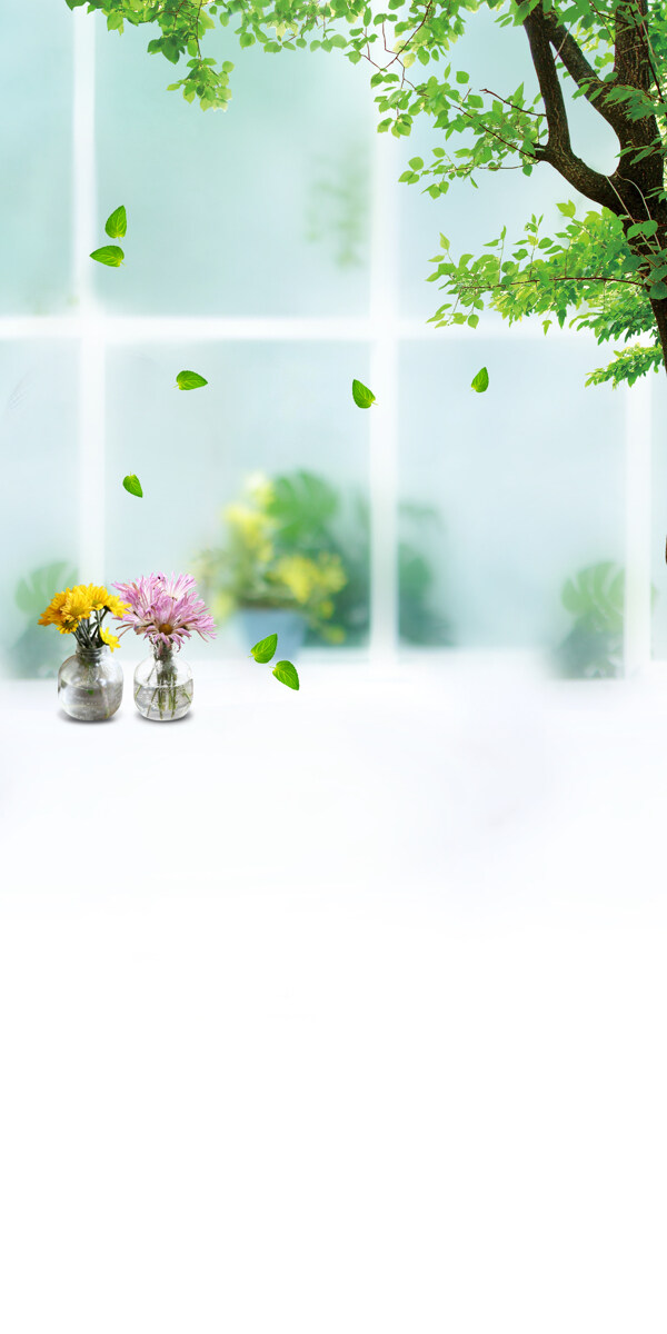 绿色树叶与花瓶等影楼摄影背景图片