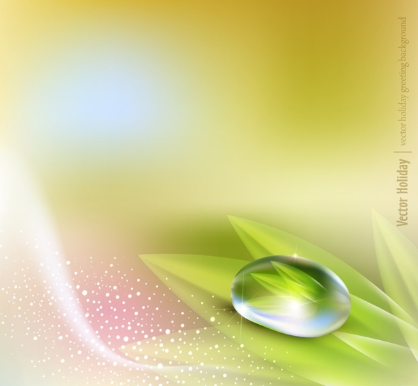 梦幻水珠水滴中的绿叶图片