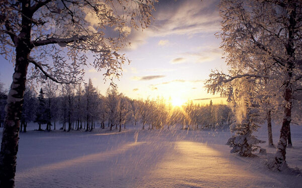 冬日里的阳光图片
