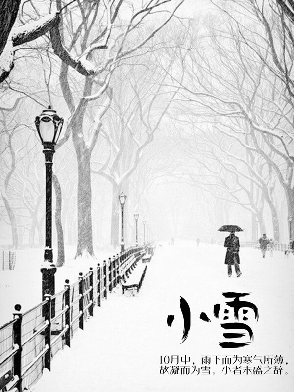 雪中的寒冷内心的孤独海报