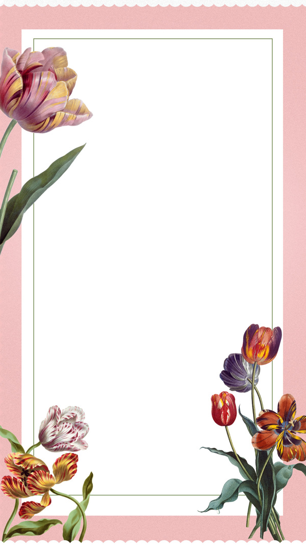 彩色花朵粉底边框H5背景素材