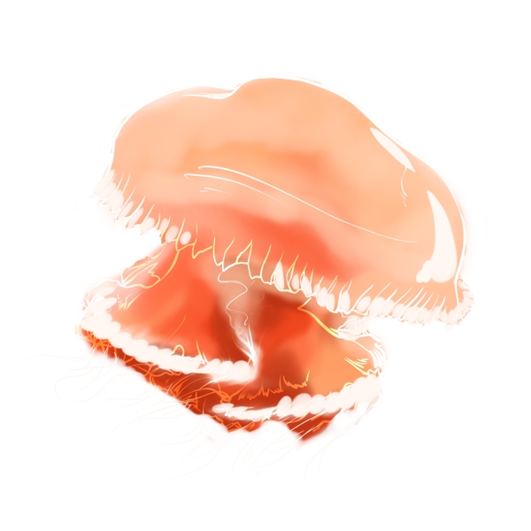 红色水母生物