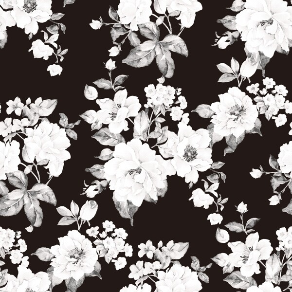 黑白花图片