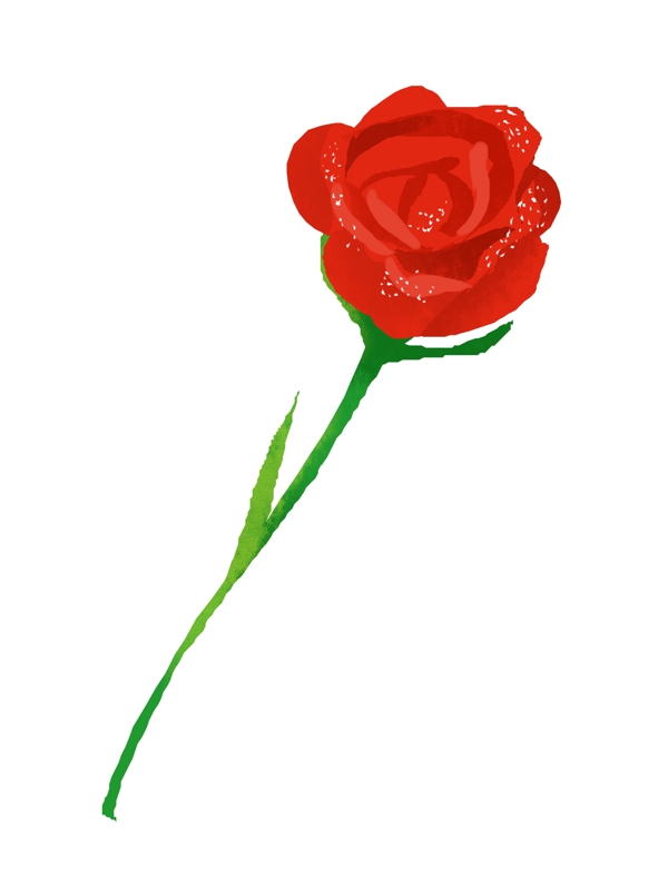 浪漫红色玫瑰花