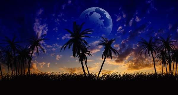 月球和椰子树图片