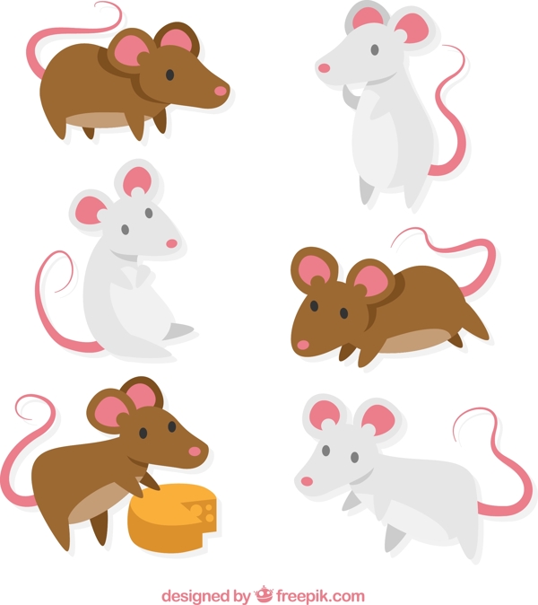 创意老鼠设计图片