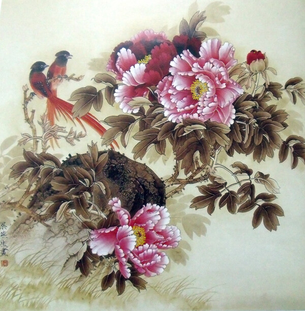 花卉与小鸟图片