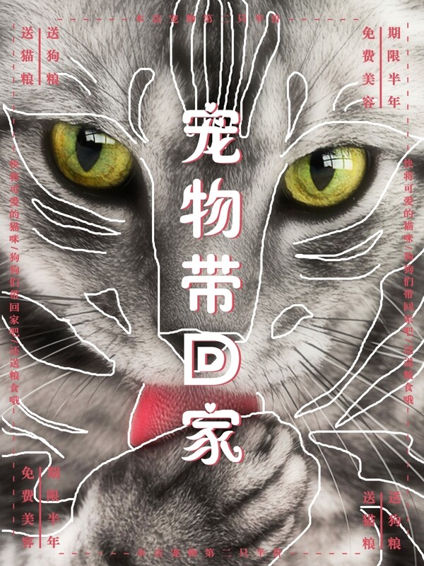 简约手绘风清新可爱宠物猫促销海报