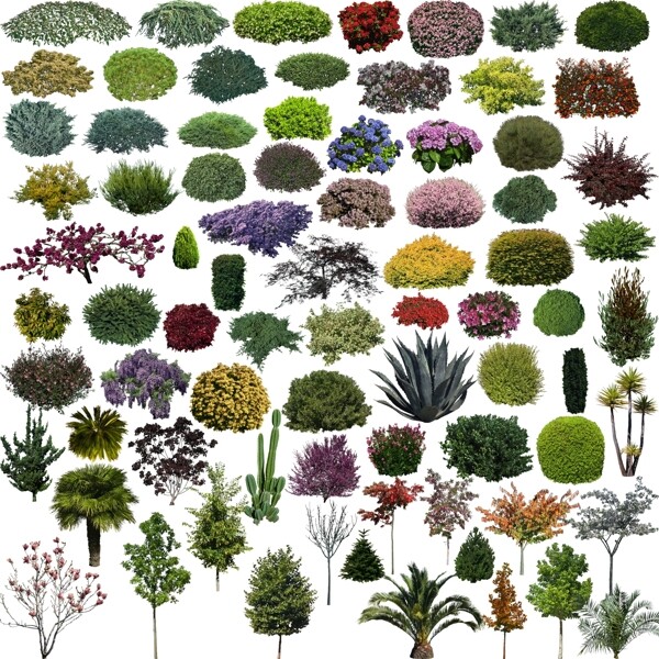 花卉植物分层素材PSD图片