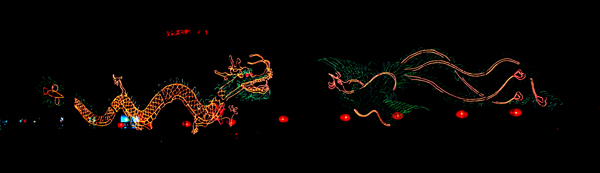 灯展龙凤灯图片