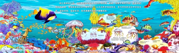 幼儿园海洋生物教育图片