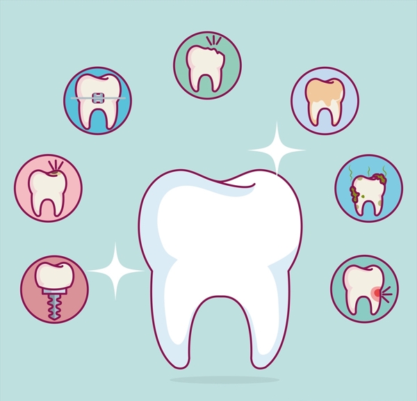 牙医牙齿护理矢量素材