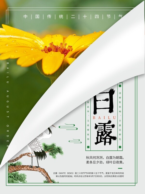白露中国风节气海报
