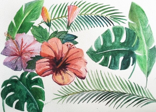 热带树叶手绘树叶图片